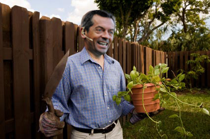 Phil Brown S Gardening Leave Diary Fisted Away
